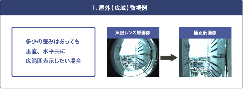 屋外（広域）監視例
